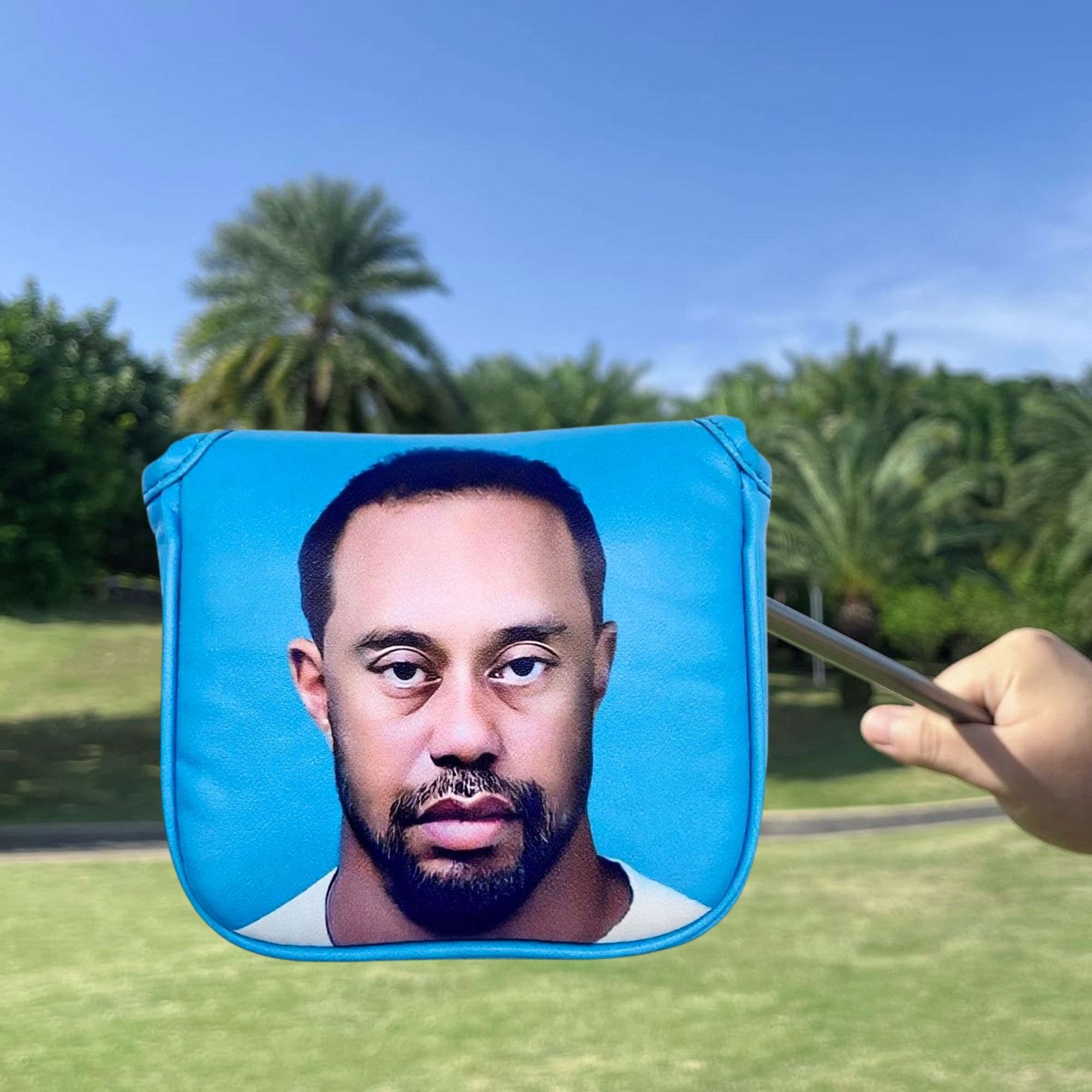 Funny Golf Mallet Putter Head  - Men Accessories Usa 评论和价格